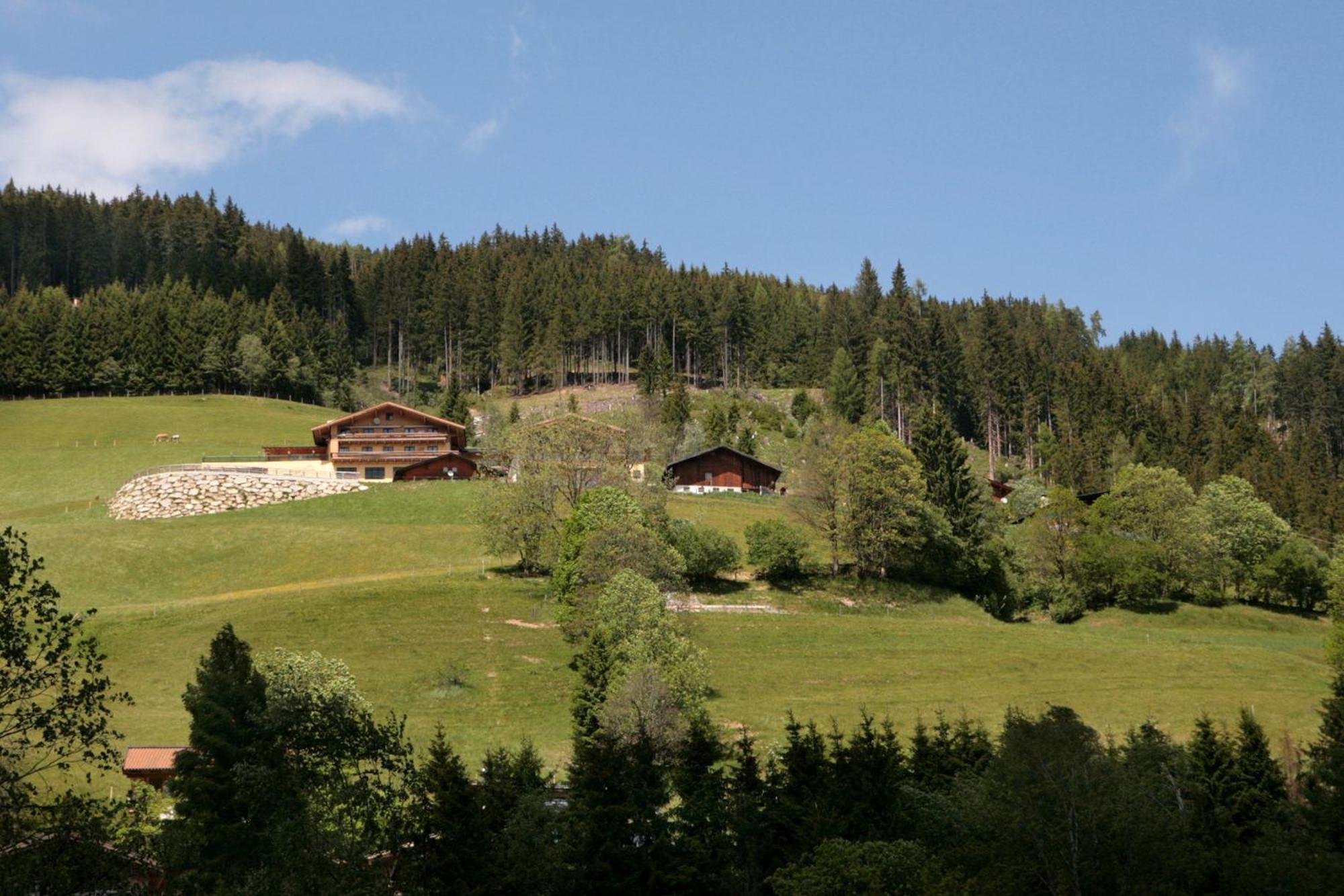 Der Wildbachhof - Contactless Check In Apartamento Zell am See Exterior foto